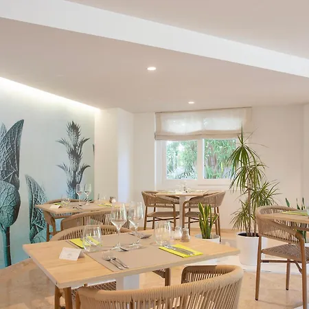 تورا